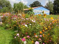 2016_08_26 hamburg 263